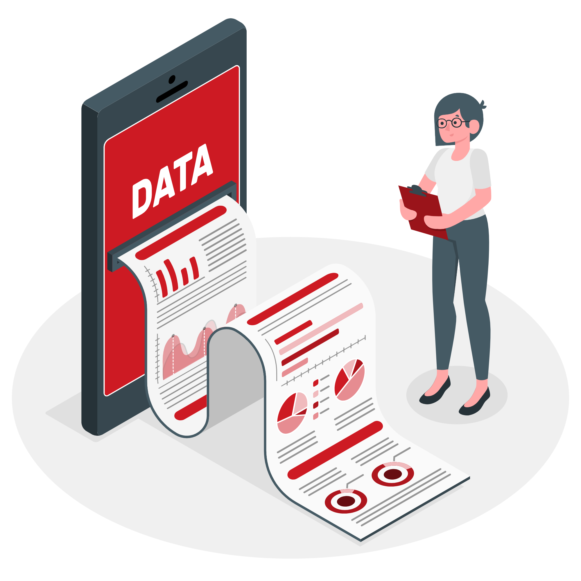 Data report-amico